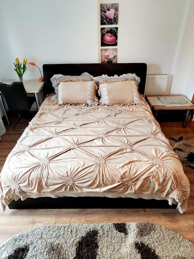 Casa De Vis Apartment Brasov Ngoại thất bức ảnh
