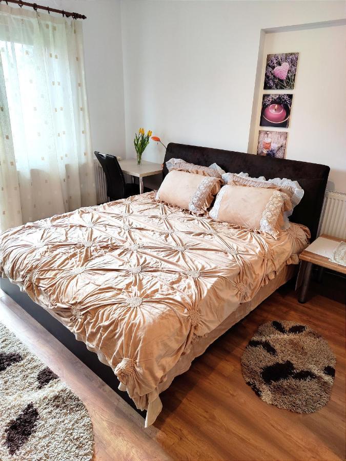 Casa De Vis Apartment Brasov Ngoại thất bức ảnh