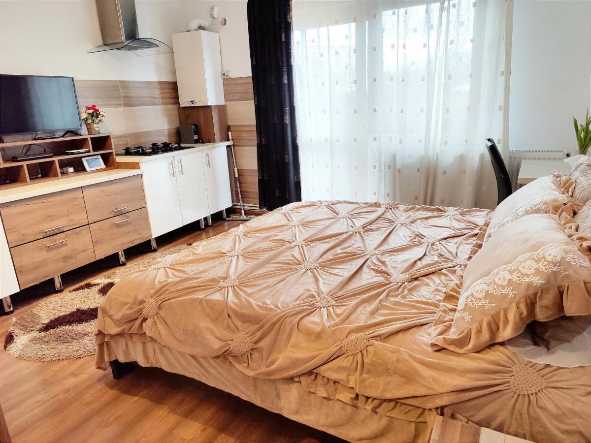 Casa De Vis Apartment Brasov Ngoại thất bức ảnh